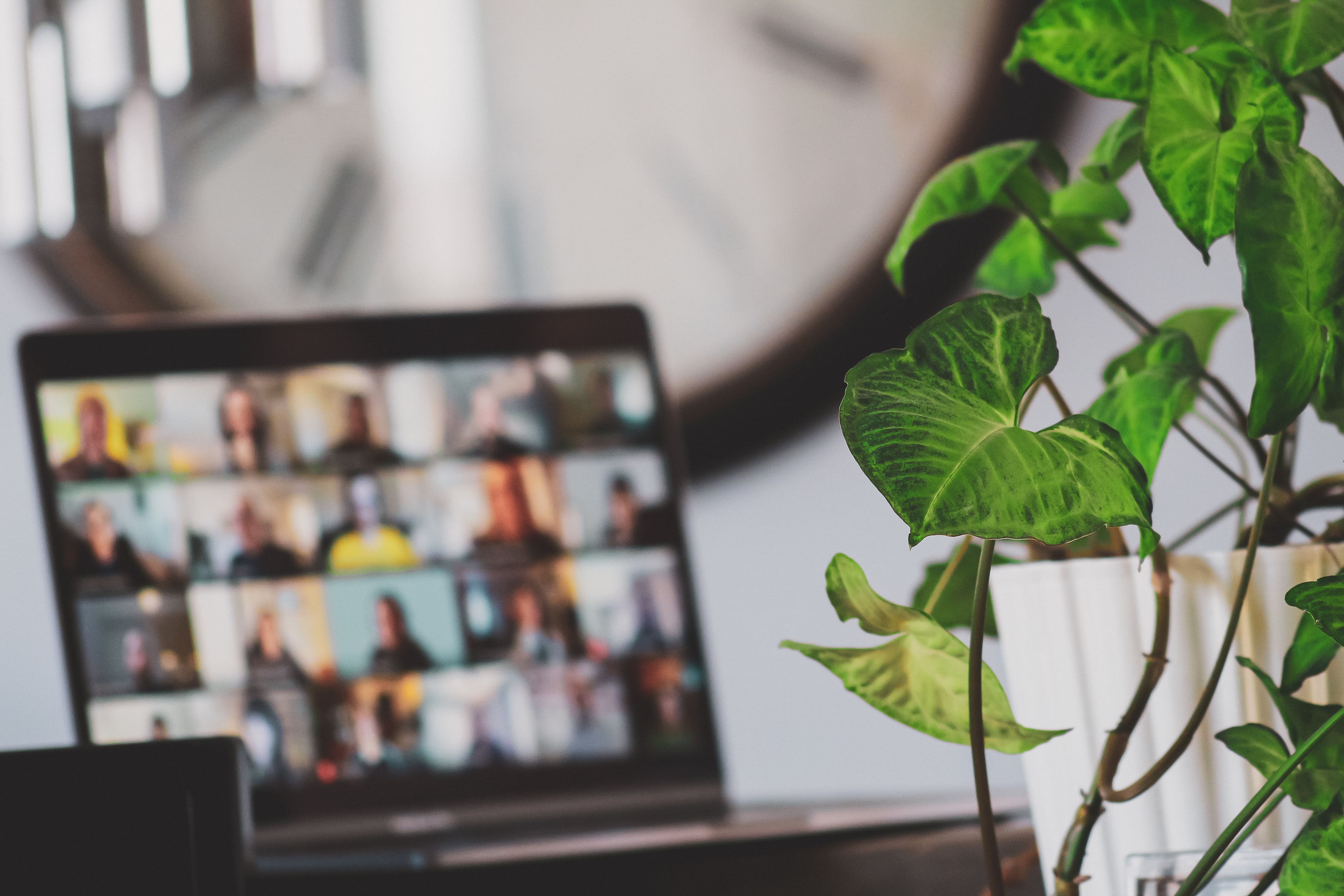 Foto door Sigmund (Unsplash)